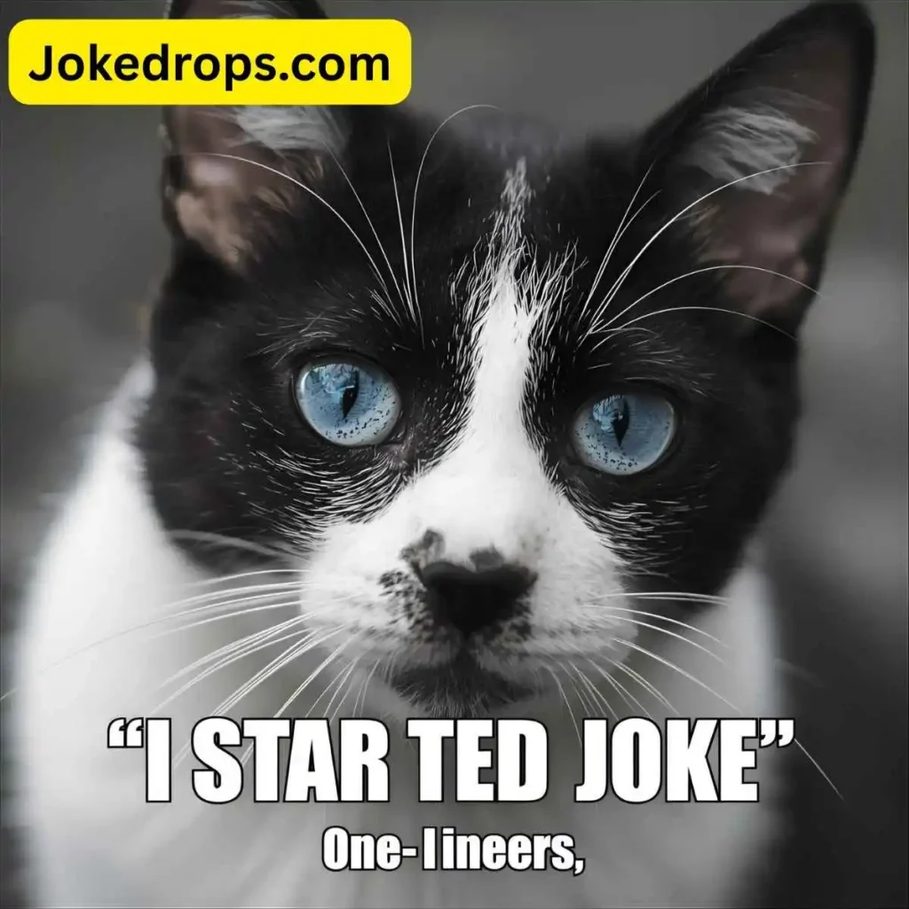 Classic “I Started a Joke” One-Liners