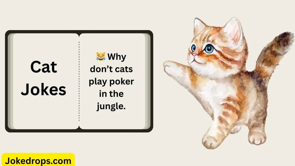Cat Joke