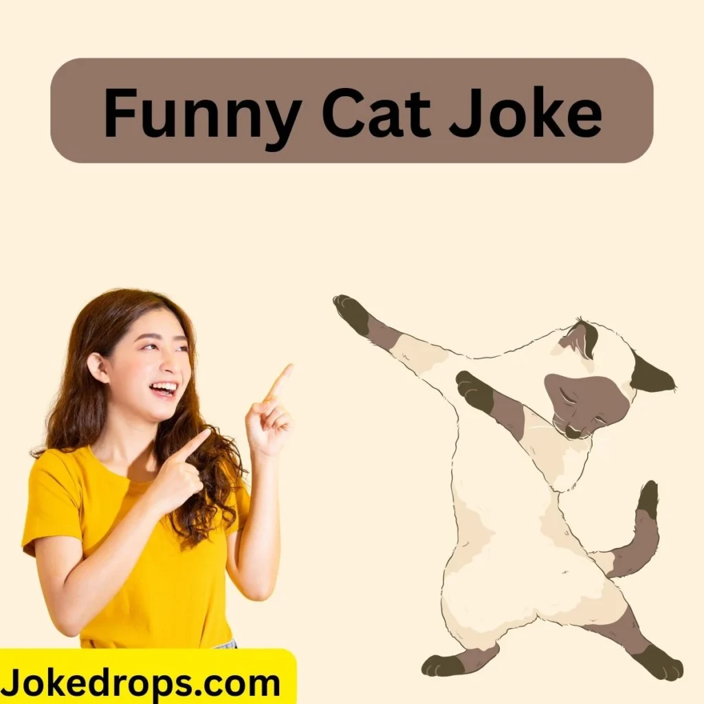 Funny Cat Joke