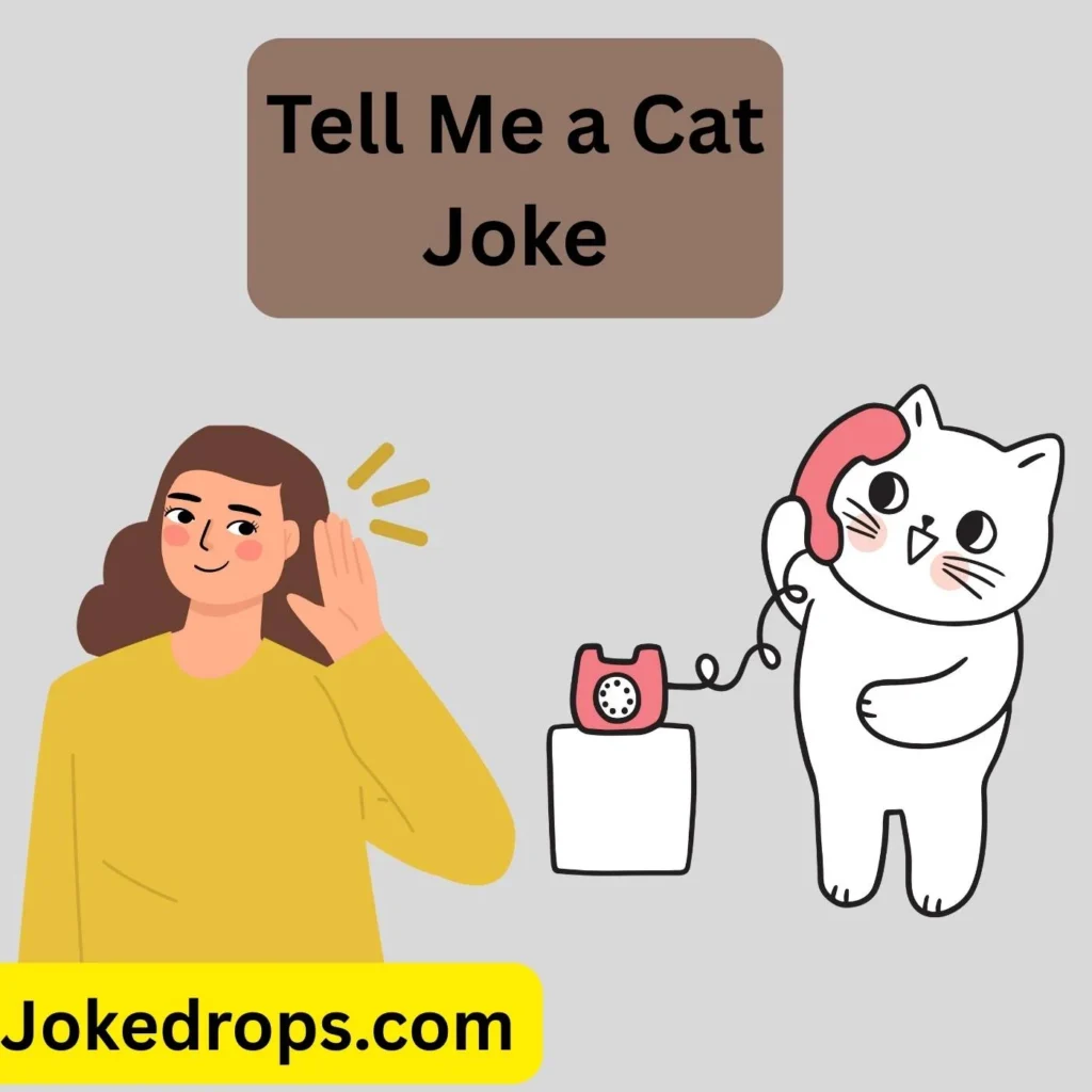 Tell Me a Cat Joke