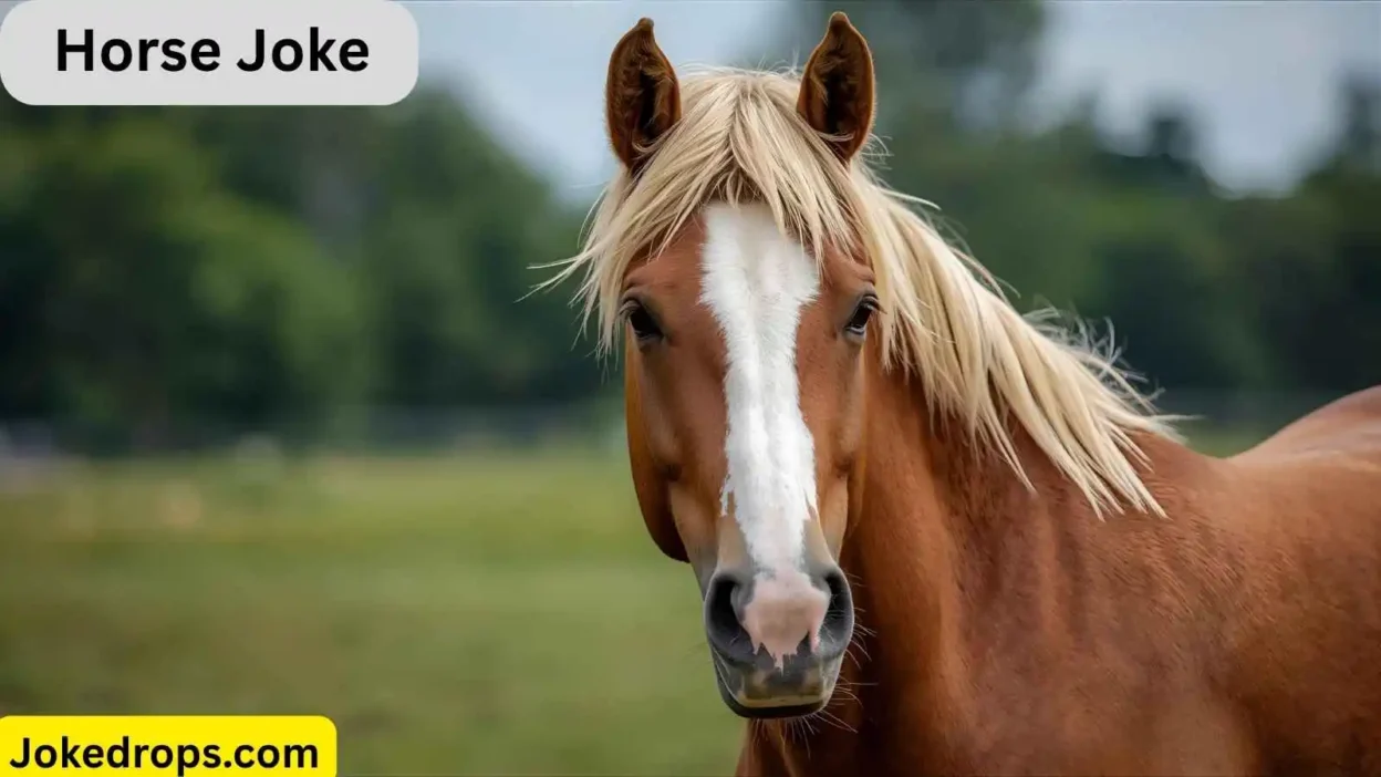 Horse Joke