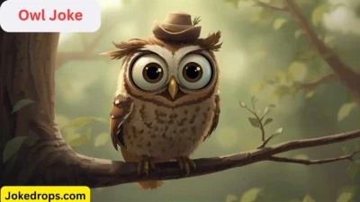 Owl Joke