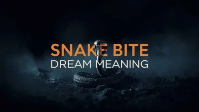 Snake Bite Dream Meaning