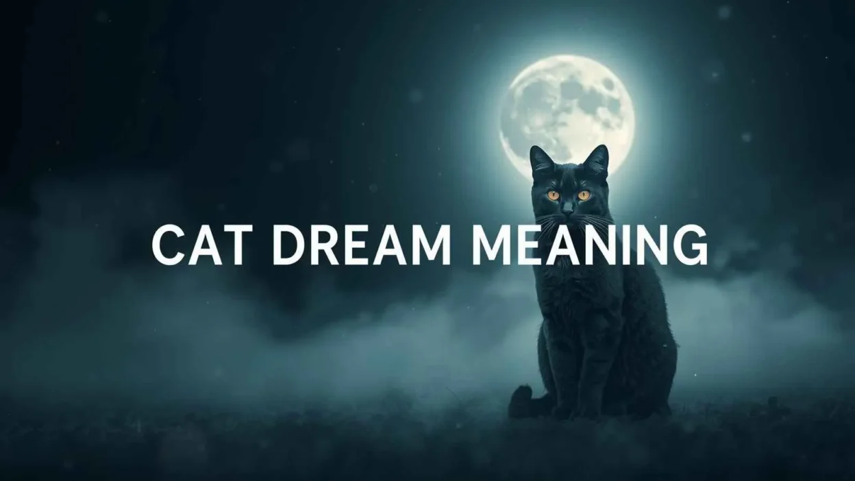 Cat Dream Meaning