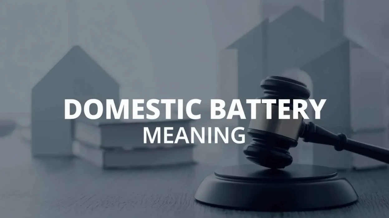 Domestic Battery Meaning