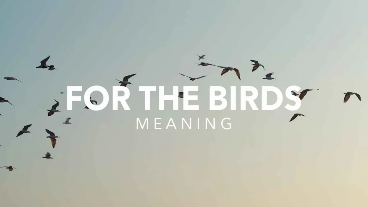 For the Birds Meaning