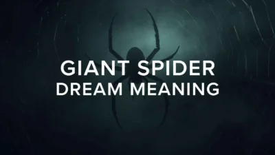 giant spider dream meaning