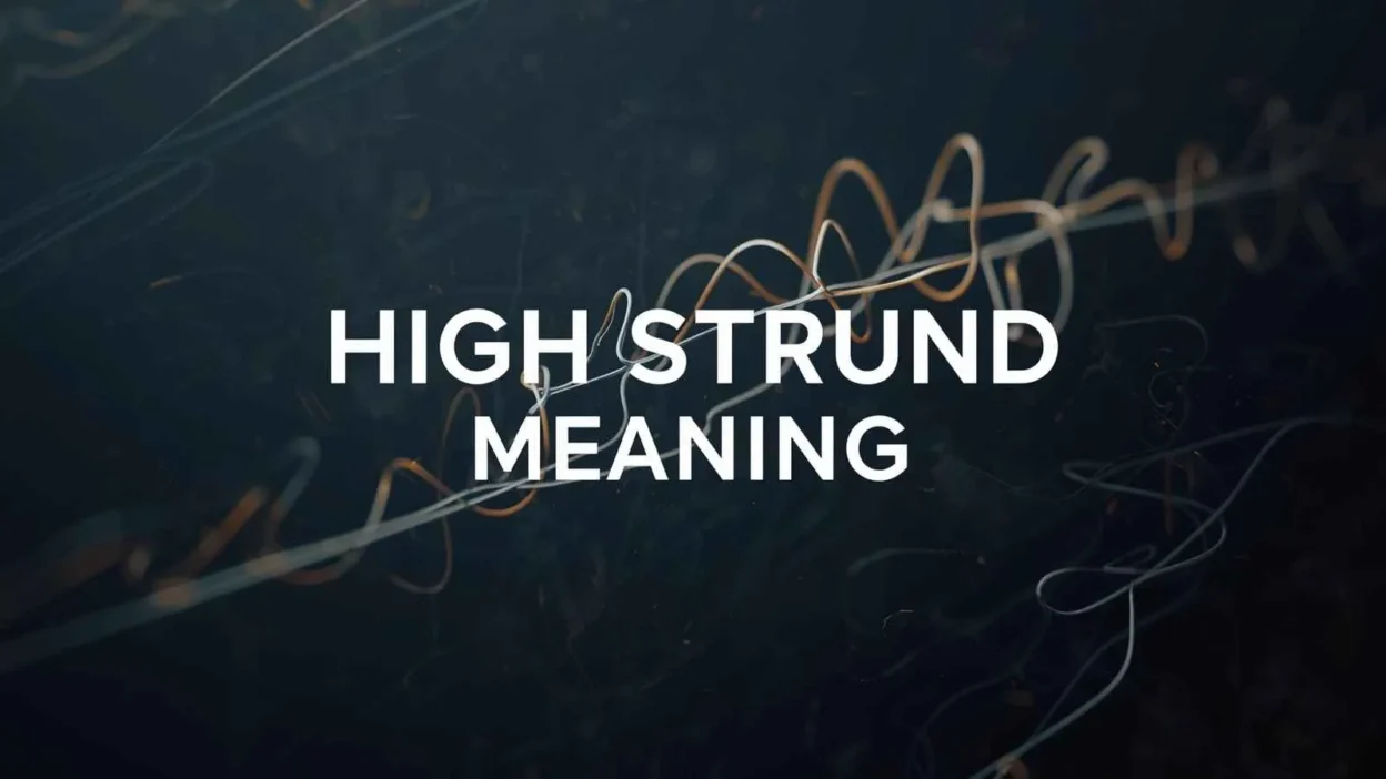 High Strung Meaning