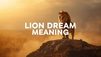 Lion Dream Meaning
