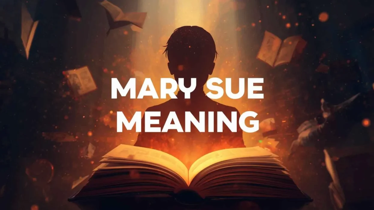 Mary Sue Meaning