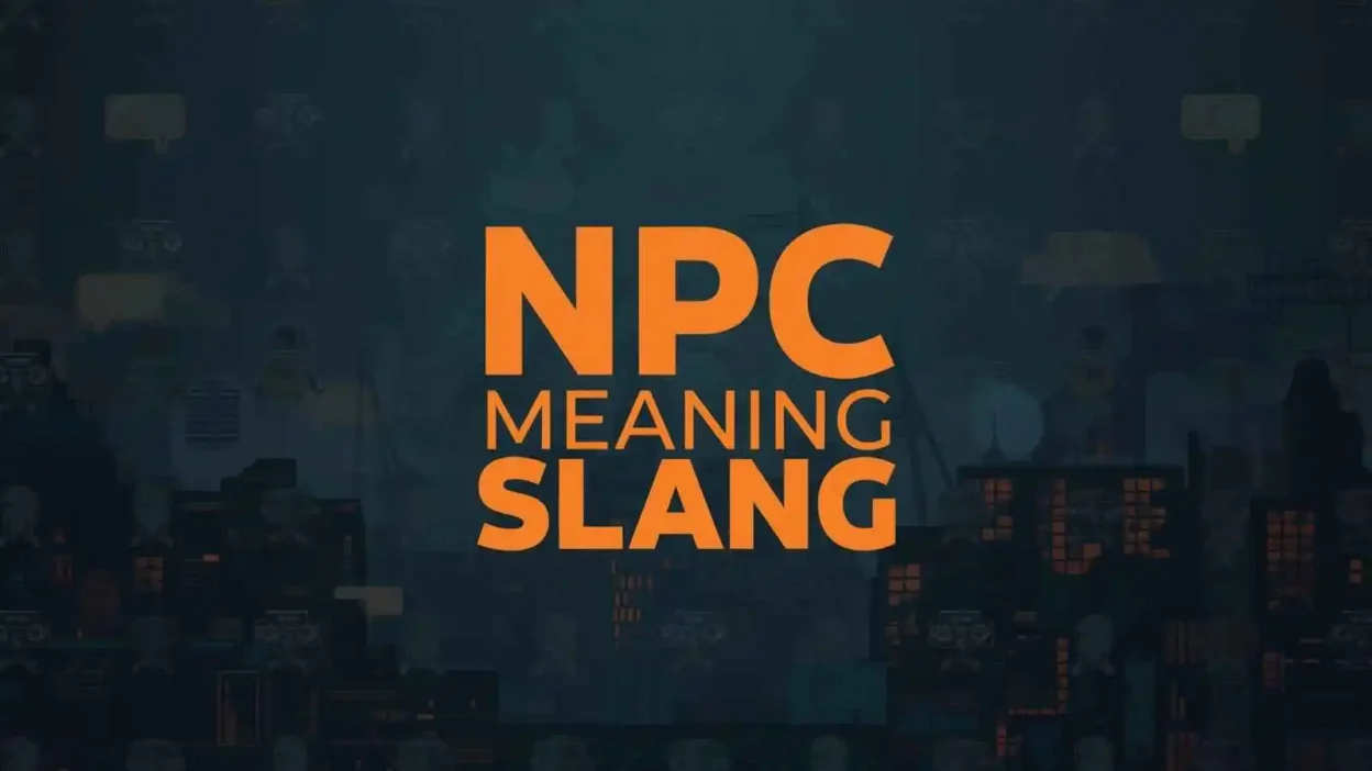 NPC Meaning Slang