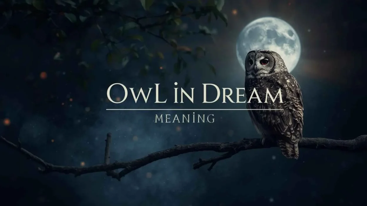 Owl in Dream Meaning