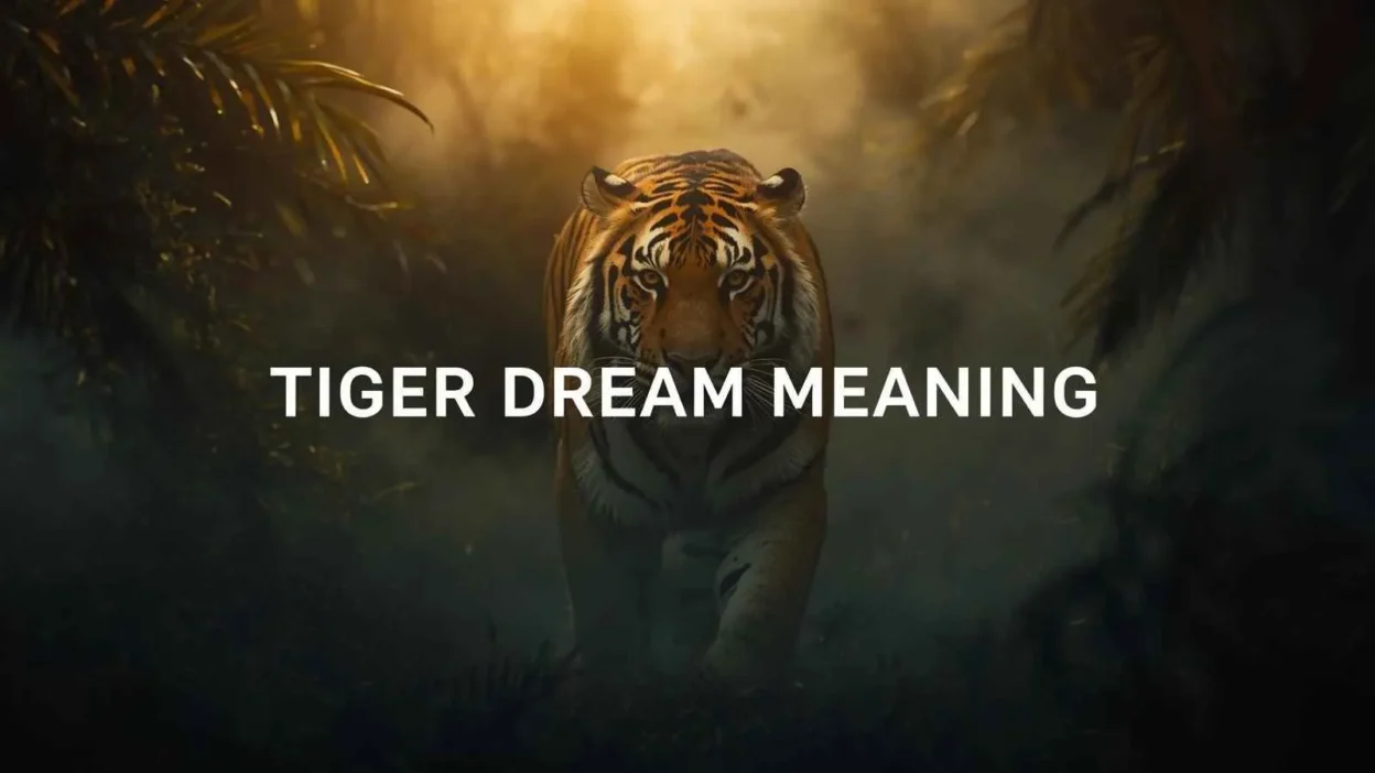 Tiger Dream Meaning