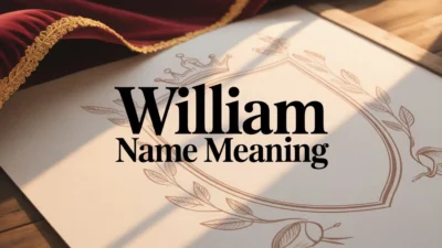 William Name Meaning